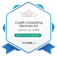 Credit consulting services inc.