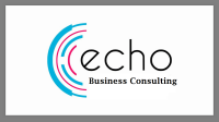 Echo consulting group