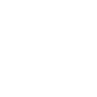 Silver birch ranch