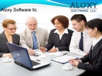 Aloxy software llc