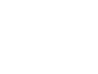 Austin patrick and associates
