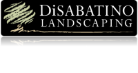 Disabatino landscaping