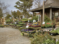 Vineyard Gardens, Inc.