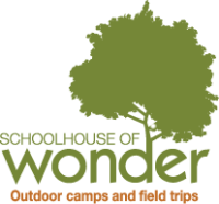 Schoolhouse of wonder