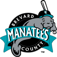Brevard county manatees