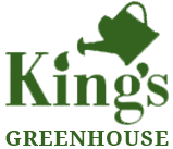 Kings greenhouse