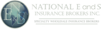 National e and s insurance brokers, inc.