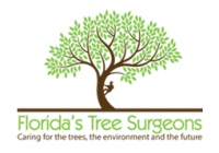 Florida's tree surgeons