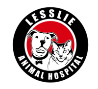 Lesslie animal hospital