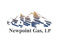 Newpoint gas, lp
