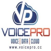 Voicepro/the sater group