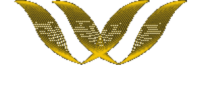 World yacht group