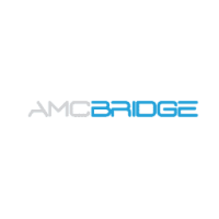 Amc bridge llc