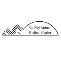 Big sky animal medical center