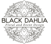 Black dahlia | studio
