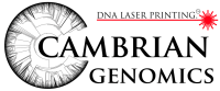 Cambrian genomics