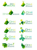 Ch4 biogas