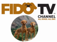Fidotv channel
