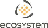Icosystem