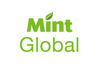 Mint business solutions