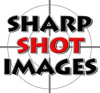 Sharp shot images