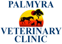 Palmyra veterinary hospital