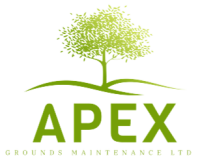 Apex tree and garden care ltd