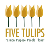 Tulip investments p/l