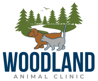 Woodland animal clinic