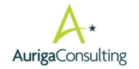 Auriga consulting services inc