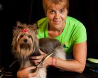 Angel pets of houston dog walking & mobile grooming services