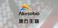Akeso & company limited