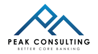 Peek consulting group