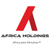 Vt africa holdings