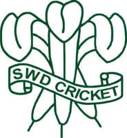 Swd cricket board