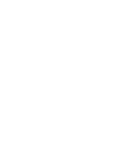Bvj group