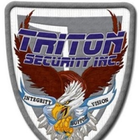 Triton security inc
