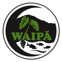 Waipa foundation