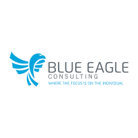 Blue eagle consulting, inc