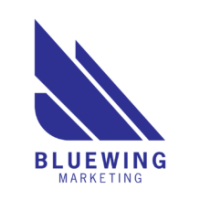 Blue wing business strategies