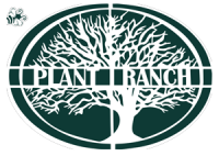 Plant ranch nursery