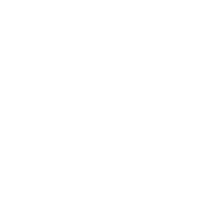 Msumun (michigan state university model united nations)