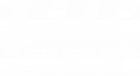 Arizona system analysis professionals llc.