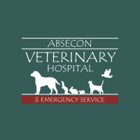 Absecon veterinary hospital