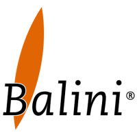 Balini ingeniería y consultoría