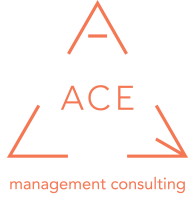 Ace consulting and equipment