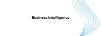 Smoothstream business intelligence - business analyticis  - faster, easier, smarter