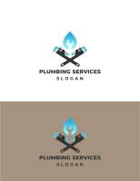 Mechanical plumbing services