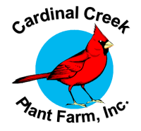 Cardinal creek farms