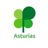 Plena inclusión asturias